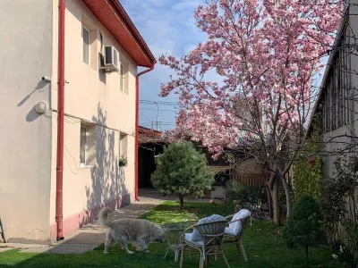 Vand  casa curte  + teren + SPATIU COMERCIAL - Bucuresti