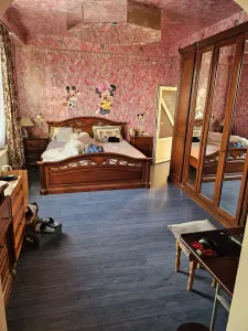 Casă 5 camere Satu Mare - poza 17
