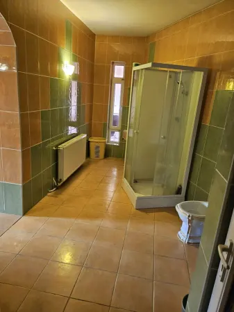 Casă 5 camere Satu Mare - poza 4
