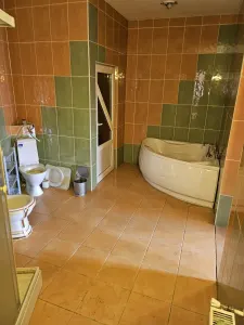 Casă 5 camere Satu Mare - poza 6