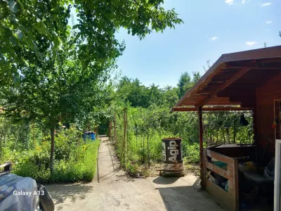 Teren Satu Mare - poza 2