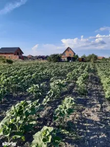 Ag EUROPA vinde 8 ari teren intravilan in Amati cu frontul de 30 metri - Amati