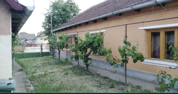 Casă 3 camere Gerausa - poza 3