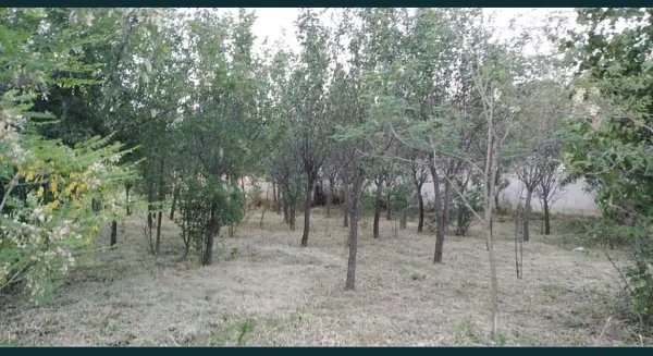 Casă 3 camere Gerausa - poza 4