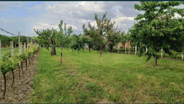 Casă 6 camere Sacaseni - poza 4