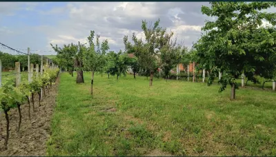 Casă 6 camere Sacaseni - poza 4