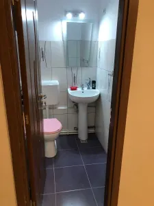 Spațiu comercial Satu Mare - poza 5