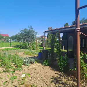 Casă 8 camere Satu Mare - poza 14