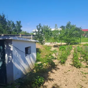 Casă 8 camere Satu Mare - poza 16