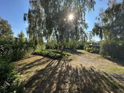Casă 4 camere Timișoara - poza 5