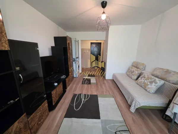 Apartament 1 camera Timișoara - poza 2