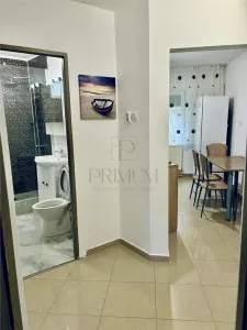 Apartament 2 camere Timișoara - poza 5