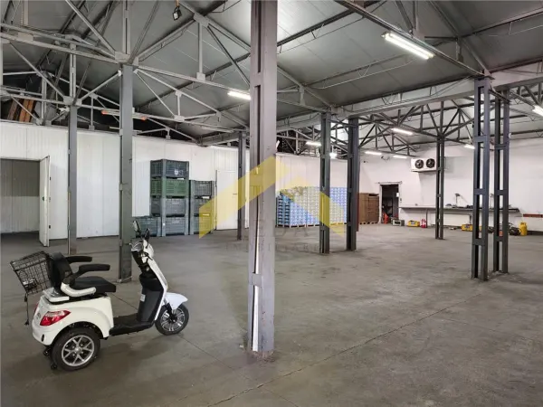 Spațiu industrial Arad - poza 4