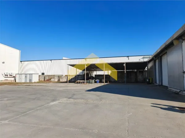 Spațiu industrial Arad - poza 5