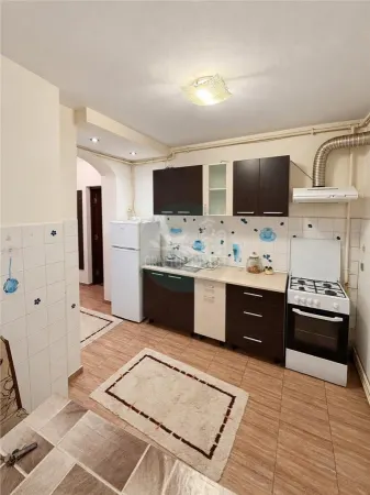 Apartament 1 camera Sibiu - poza 3