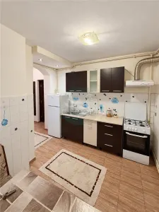Apartament 1 camera Sibiu - poza 3