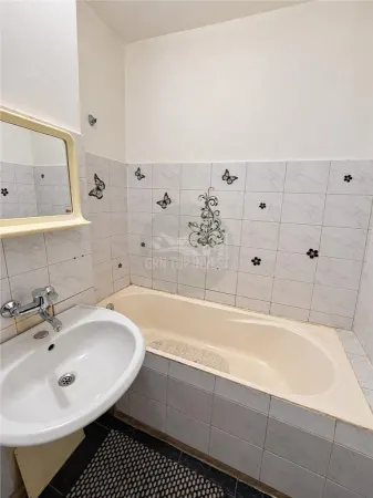 Apartament 1 camera Sibiu - poza 7