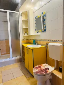 Casă 5 camere Voluntari - poza 14