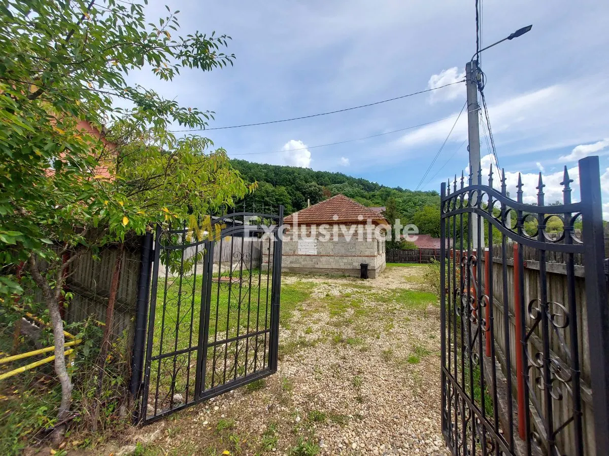 Casă 4 camere Bascov - poza 1