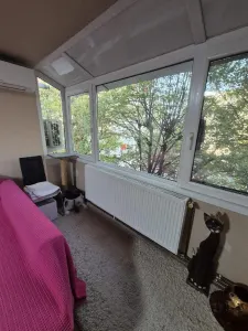 Apartament 2 camere Timișoara - poza 2