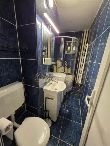 Apartament 1 camera Timișoara - poza 16