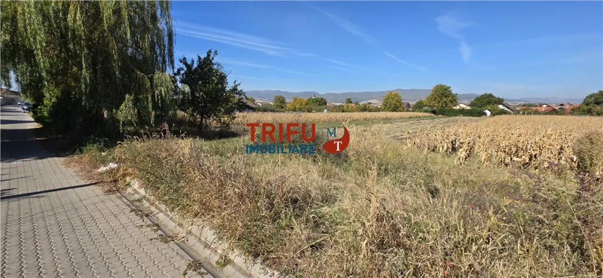 Teren Alba Iulia - poza 1