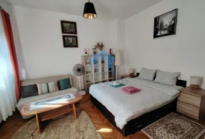 Apartament 1 camera, Central - Cluj-Napoca