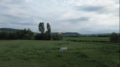 Teren Fălticeni - poza 13