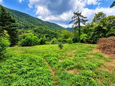 Casă 4 camere Băile Herculane - poza 11