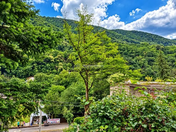 Casă 4 camere Băile Herculane - poza 14