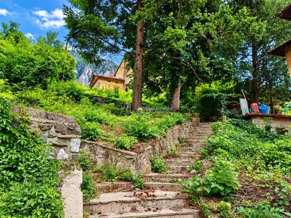 Casă 4 camere Băile Herculane - poza 18