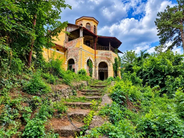 Casă 4 camere Băile Herculane - poza 4