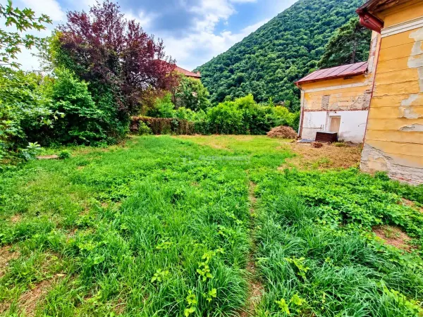 Casă 4 camere Băile Herculane - poza 10