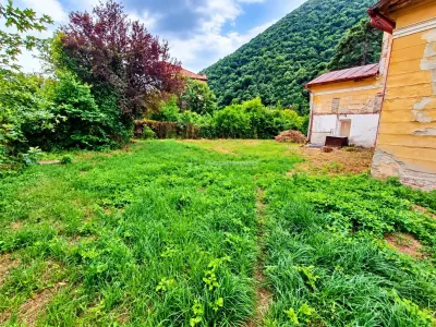 Casă 4 camere Băile Herculane - poza 10