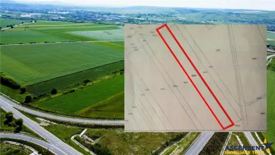 Teren Ludus - poza 6