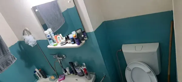 Apartament 1 camera Iași - poza 2