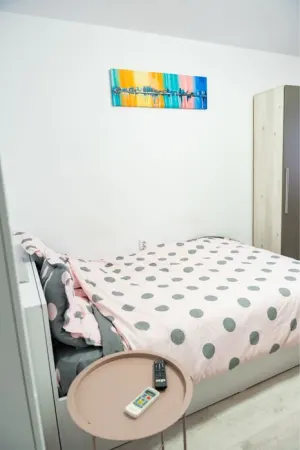 Apartament 1 camera Craiova - poza 3