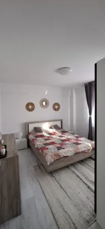 Apartament 2 camere Valea Lupului - poza 3