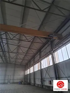 Spațiu industrial Vidrasau - poza 3