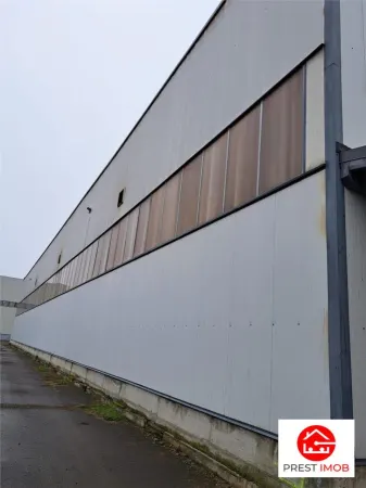 Spațiu industrial Vidrasau - poza 5
