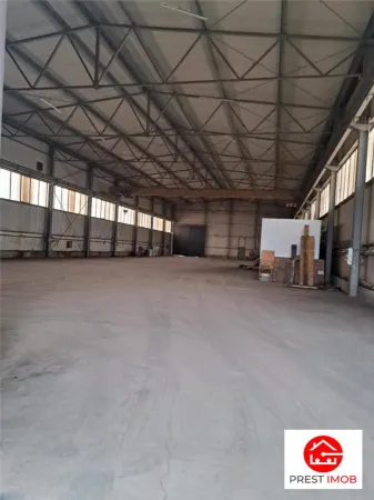 Spațiu industrial Vidrasau - poza 6