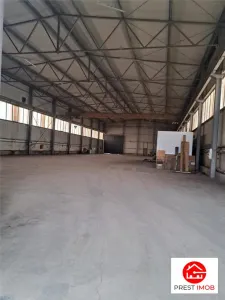 Spațiu industrial Vidrasau - poza 6