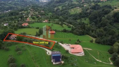 Teren Bran - poza 12