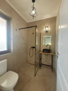 Casă 5 camere Dumbrăvița - poza 5