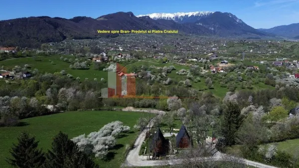 Casă 4 camere Bran - poza 14
