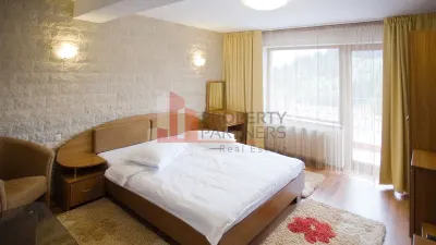 Hotel/Pensiune Fundata - poza 7