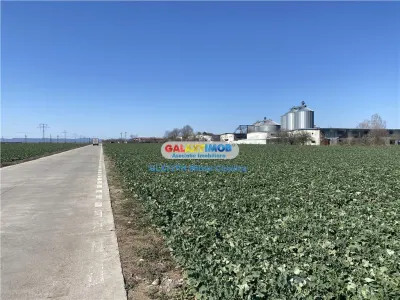 Teren Păulești - poza 4