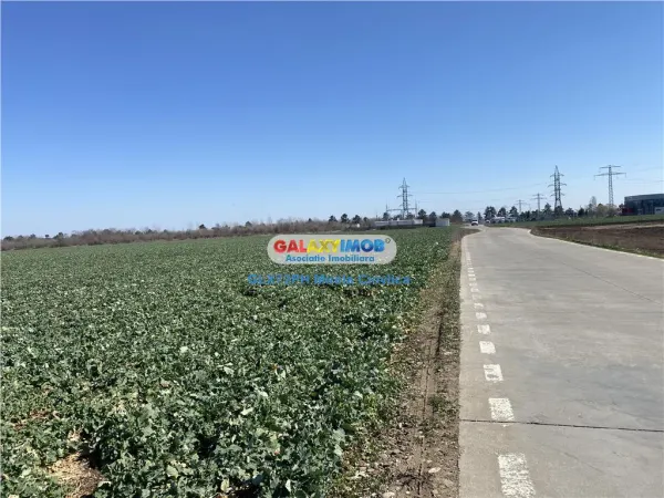 Teren Păulești - poza 5