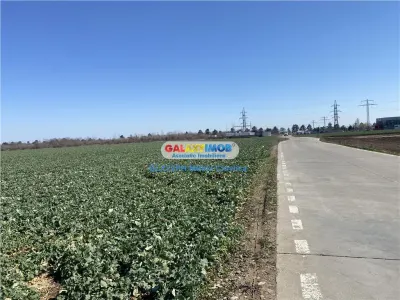Teren Păulești - poza 5