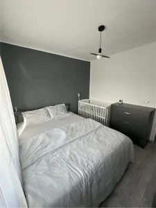 Apartament 3 camere Timișoara - poza 4